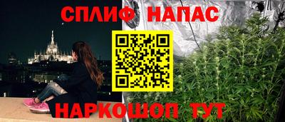 мет Можга
