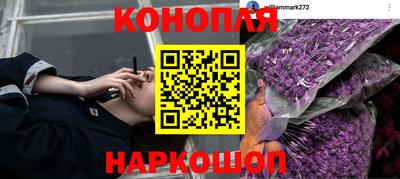 мет Можга