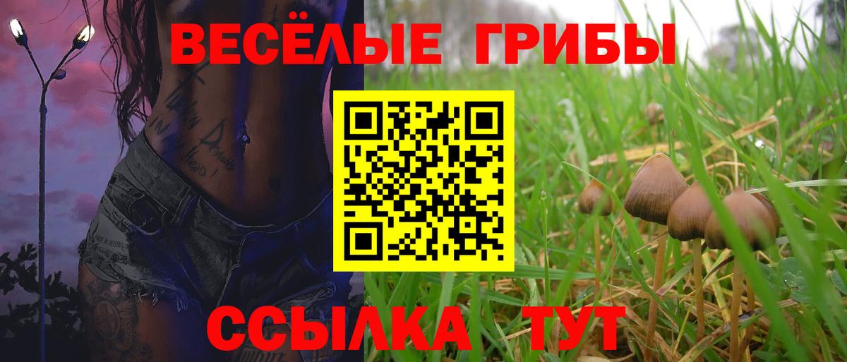 Сорочинск  даркнет сайт  Вход с VPN  Галлюциногенные грибы MAGIC MUSHROOMS 